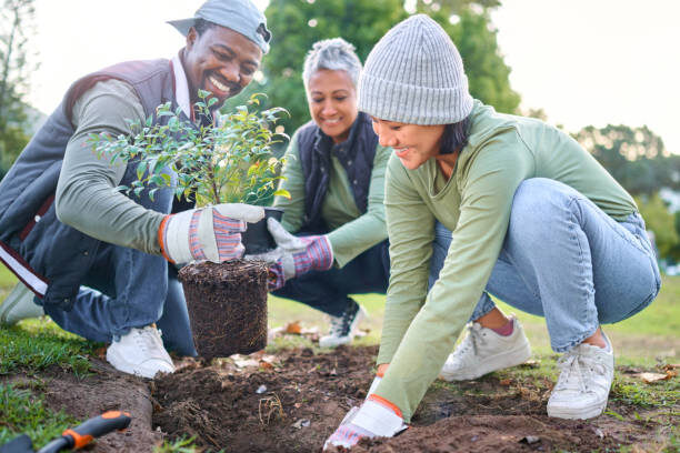 Plants, community service and volunteering group in park, garden and nature for sustainable environment. Climate change, tree gardening and earth day project for growth, global care and green ecology